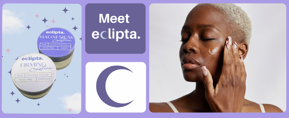 Digital Storefront Expansion with Eclipta